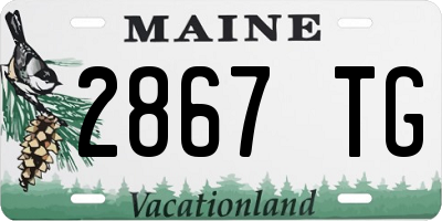 ME license plate 2867TG