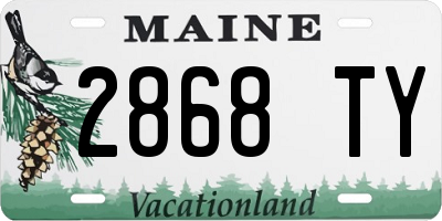 ME license plate 2868TY
