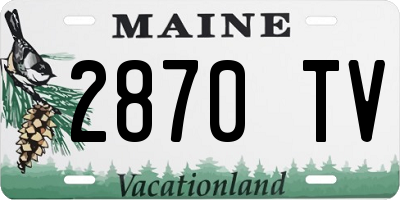 ME license plate 2870TV