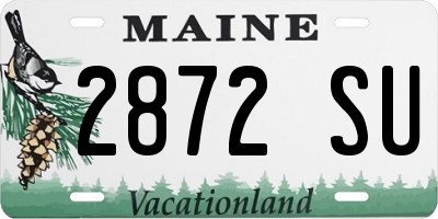 ME license plate 2872SU