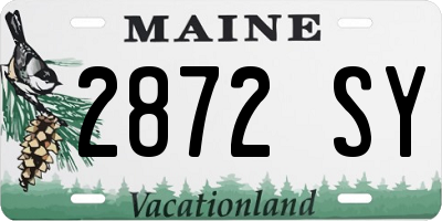 ME license plate 2872SY