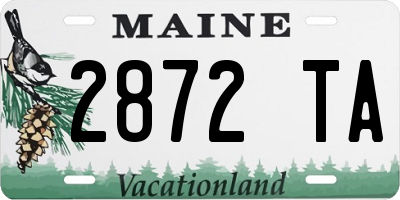ME license plate 2872TA