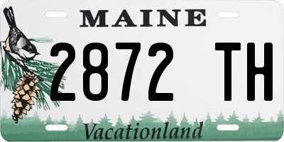 ME license plate 2872TH