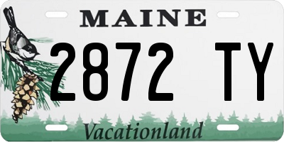 ME license plate 2872TY
