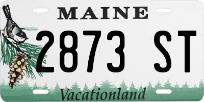 ME license plate 2873ST