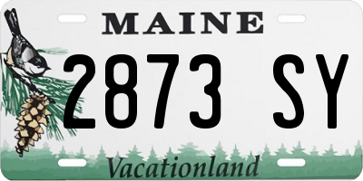 ME license plate 2873SY