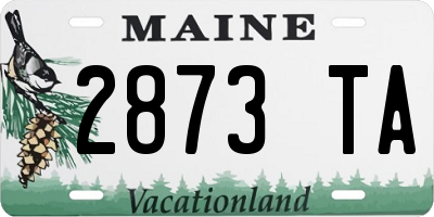 ME license plate 2873TA