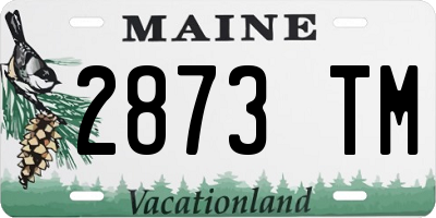 ME license plate 2873TM