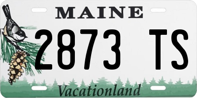 ME license plate 2873TS
