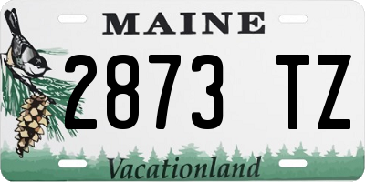 ME license plate 2873TZ
