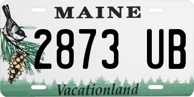 ME license plate 2873UB