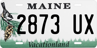 ME license plate 2873UX