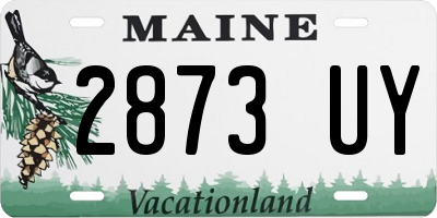 ME license plate 2873UY