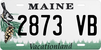 ME license plate 2873VB