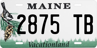 ME license plate 2875TB