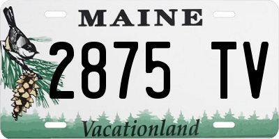 ME license plate 2875TV