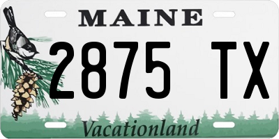 ME license plate 2875TX