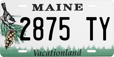 ME license plate 2875TY