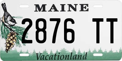 ME license plate 2876TT