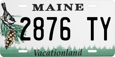 ME license plate 2876TY