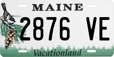 ME license plate 2876VE