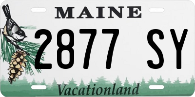 ME license plate 2877SY