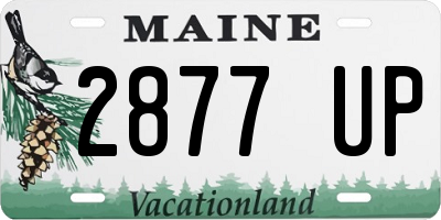 ME license plate 2877UP