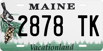 ME license plate 2878TK