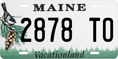 ME license plate 2878TO
