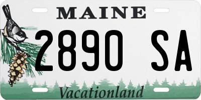 ME license plate 2890SA