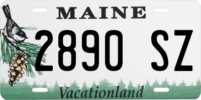 ME license plate 2890SZ