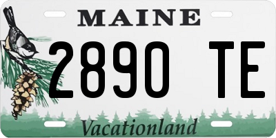 ME license plate 2890TE