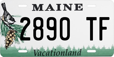 ME license plate 2890TF