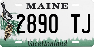 ME license plate 2890TJ