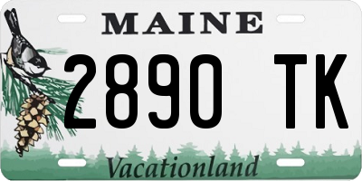 ME license plate 2890TK