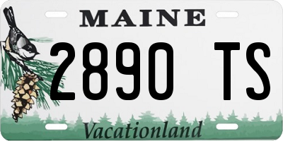 ME license plate 2890TS
