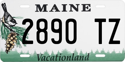 ME license plate 2890TZ