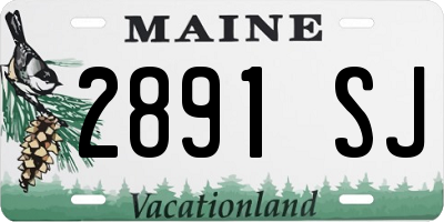 ME license plate 2891SJ