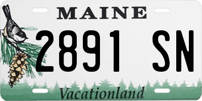 ME license plate 2891SN