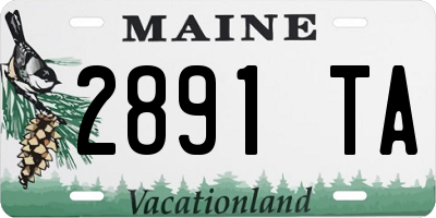ME license plate 2891TA