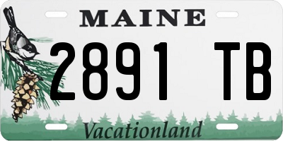 ME license plate 2891TB