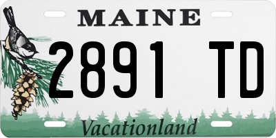 ME license plate 2891TD