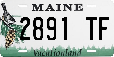 ME license plate 2891TF