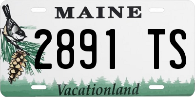 ME license plate 2891TS