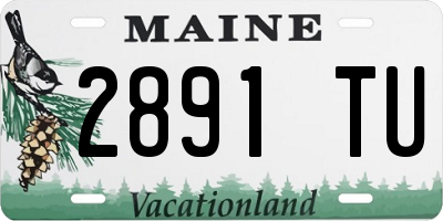 ME license plate 2891TU