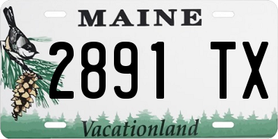 ME license plate 2891TX