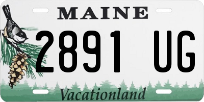 ME license plate 2891UG