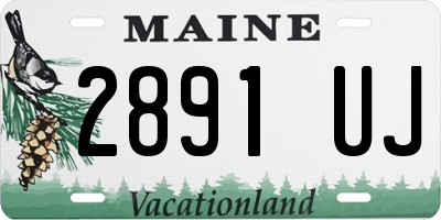 ME license plate 2891UJ