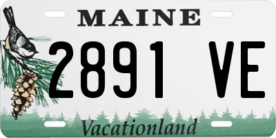 ME license plate 2891VE