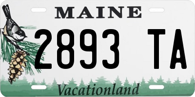 ME license plate 2893TA